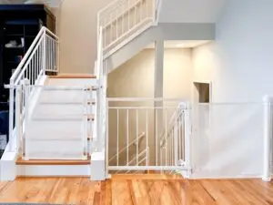 IMG 0779 jpg scaled 1