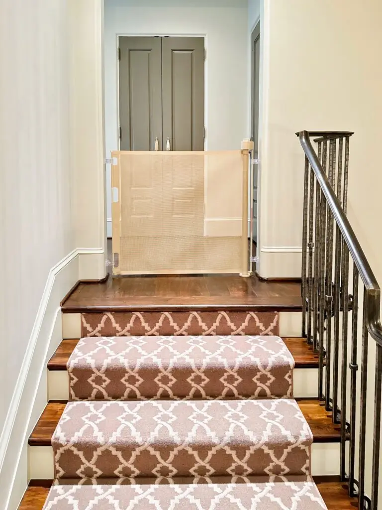 Stairs with retractable baby gate and carpet