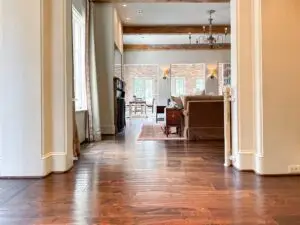 IMG 1951 jpg scaled 1