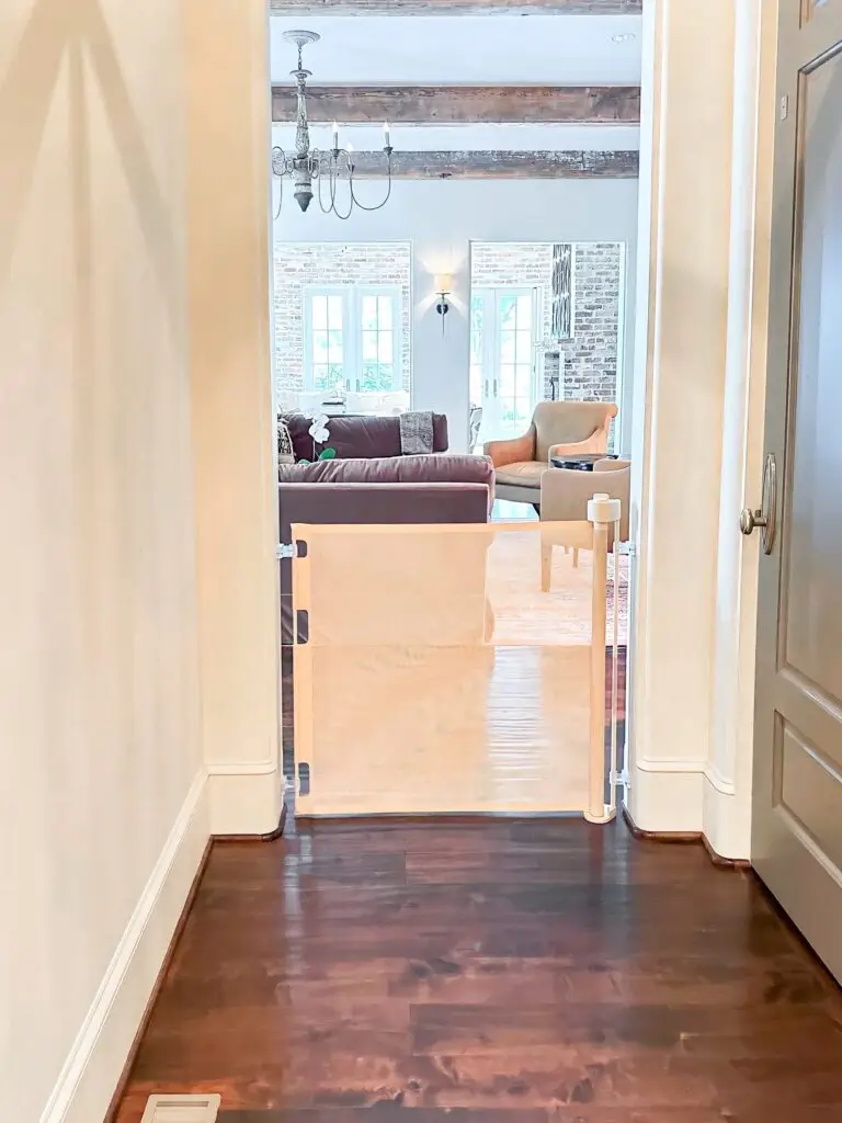 Cafe retractable gate in entry