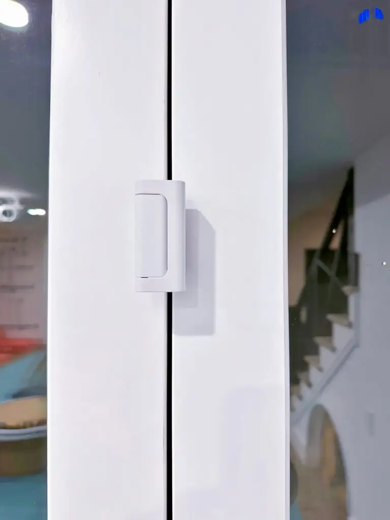 Door guardian close up