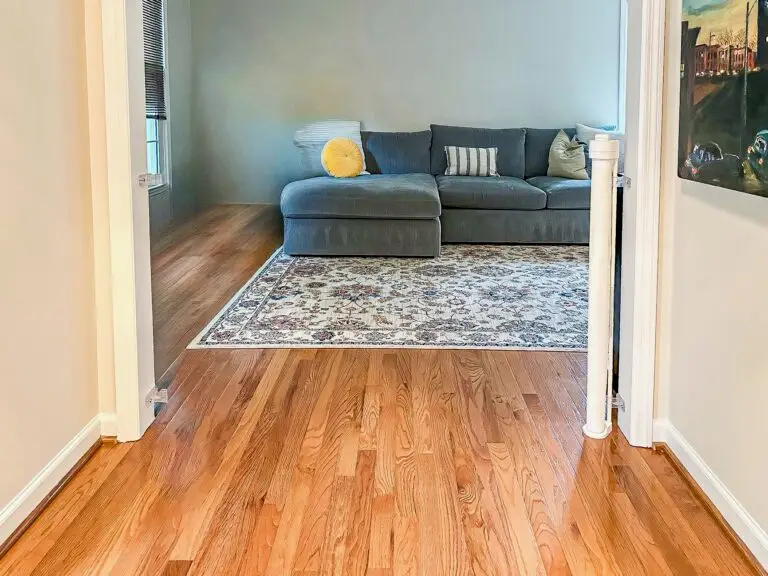 Cozy living room with hardwood floor and retractable gate at entry